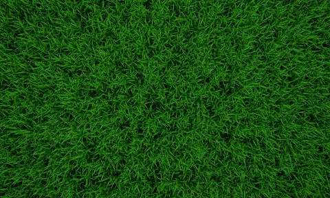 Green grass texture background, Green lawn, Backyard for background, Grass te Stock Illustration