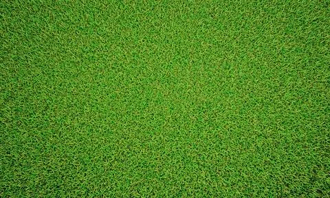 Green grass texture background, Green lawn, Backyard for background, Grass te Stock Illustration