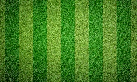 Green grass texture background, Green lawn, Backyard for wallpaper, Grass tex 스톡 일러스트