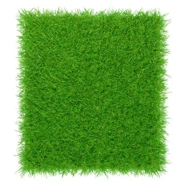 Green grass texture background, Green lawn, Backyard for background. 3d Stock Illustration