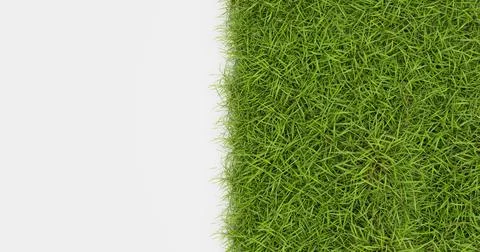 Green grass texture background, Green lawn, Backyard background 스톡 일러스트