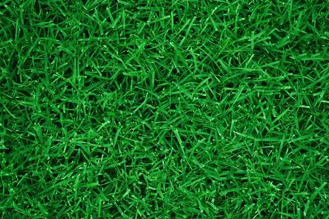 Green grass texture for background. Green lawn pattern and texture background Fotos de archivo