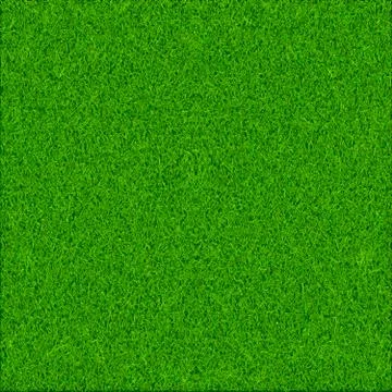 Green grass texture background Stock Illustration
