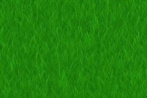 Green grass texture background. Lawn or field extreme closeup. Illustrazione stock