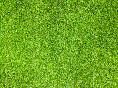 Green grass texture background Stock Photos