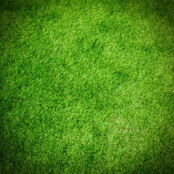 Green grass texture for background Stock Photos