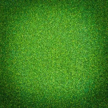 Green grass texture for background Stock Photos