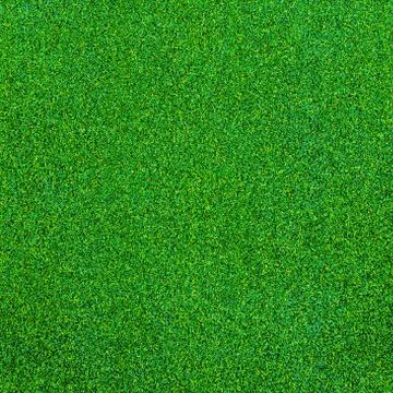 Green grass texture for background Stock Photos