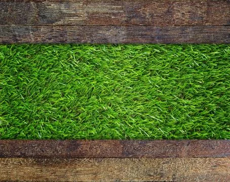Green Grass Texture Background Stock Photos