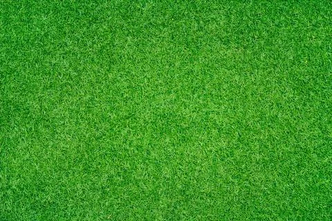 Green grass texture background Stock Photos