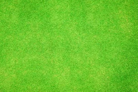 Green grass texture background. Stock Photos