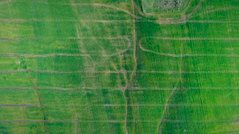 Green grass texture background top view Stock Photos