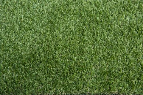 Green grass texture background. Top view photo Stockfoto's