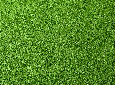 Green grass texture background. Top view photo Stock Photos