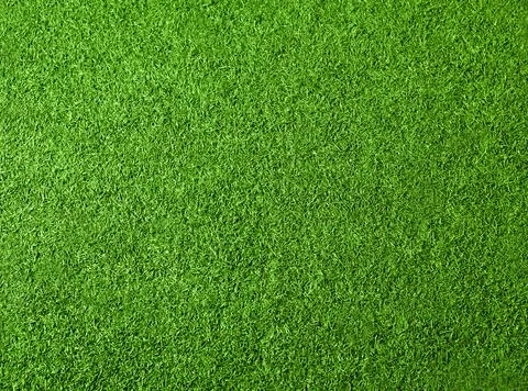 Green grass texture for background. Top view photo Foto stock