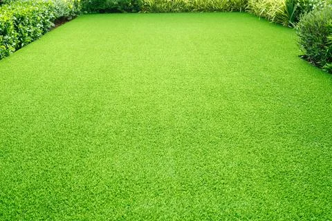 Green grass texture background Top view of bright grass garden Idea concept Stock Photos