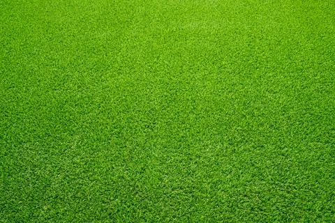 Green grass texture background Top view of bright grass garden Idea concept Stock Photos