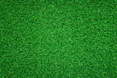 Green grass texture can be use as background Foto stock