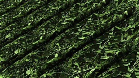 Green grass texture Stock Footage 248351642