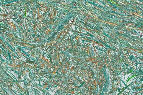 Green grass texture illustration 库存插图