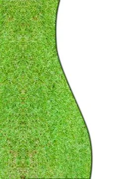 Green grass texture Stock Photos