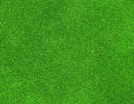 Green grass texture Stock Photos