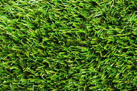 Green grass texture Stock Photos