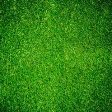 Green grass texture from Stock Photos