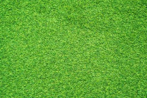 Green grass texture Stock Photos