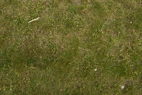 Green Grass Texture Stock Photos