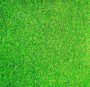 Green grass texture Fotos de archivo