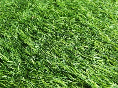 Green grass texture Stock Photos