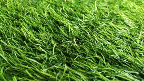 Green grass texture Stock Photos