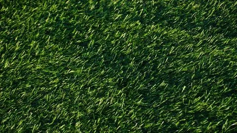 Green grass texture Stock Photos