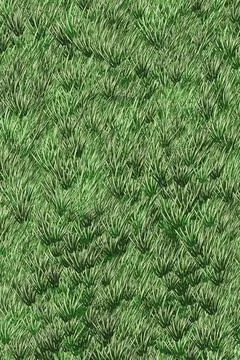 Green Grass Texture Seamless Pattern Background Stockillustratie