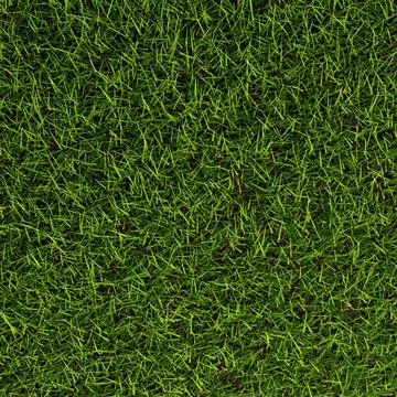 Green grass texture top view flat lay from above, spring or gardening concept 库存插图