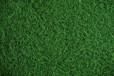 Green grass texture, turf texture Foto stock