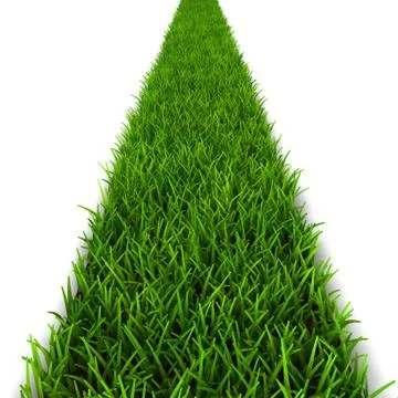Green grass trail Stock Illustration