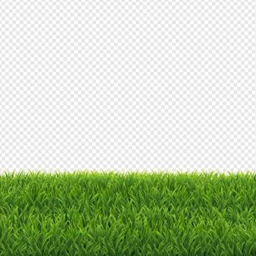 Green Grass Transparent Background Stock Illustration