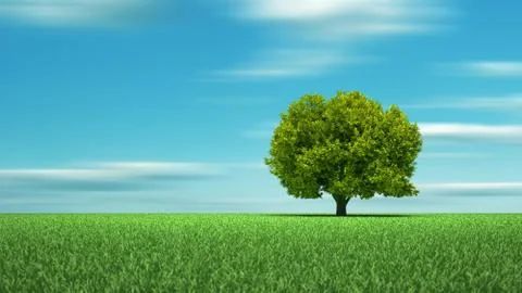 Green grass tree Stock-Illustration