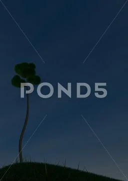 Green grass tree - night Stock Illustration
