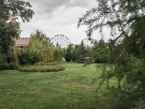 Green grass with trees on background of the attraction Ferris Wheel in Sochi Stock Photos