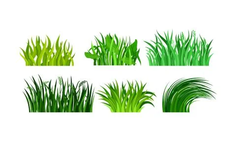 Green Grass In Tuftrs Vector Illustration Set Isolated Illustrazione stock