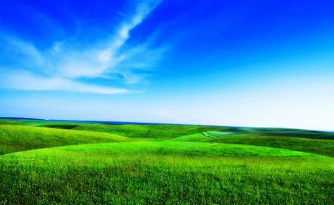 Green grass under blue sky 스톡 사진