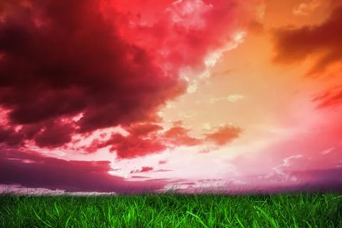 Green grass under red and purple sky Stock Illustration