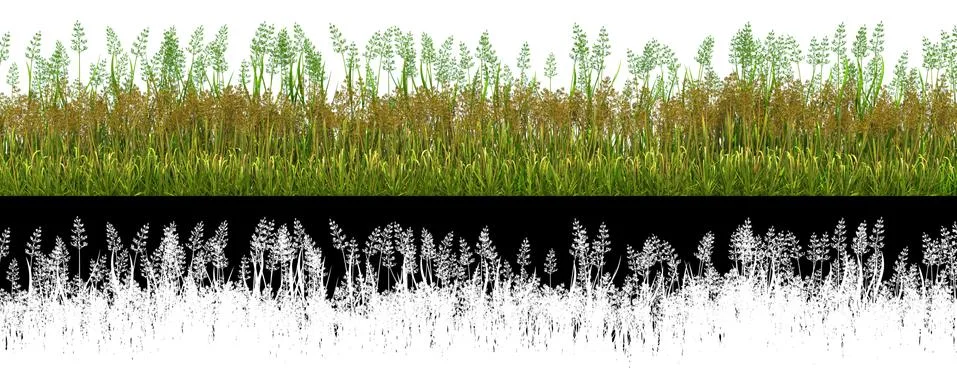 Green grass for use in collage with alpha transparency channel Stock Illustration