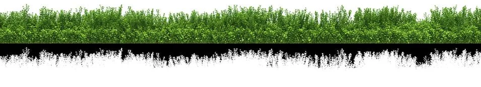 Green grass for use in collage with alpha transparency channel Stock Illustration