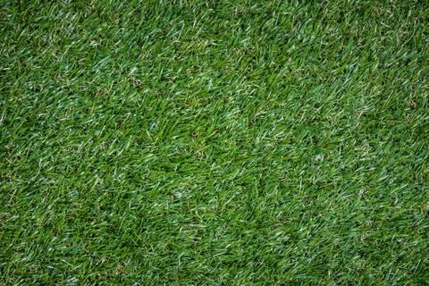 A green grass using for a background Stock Photos