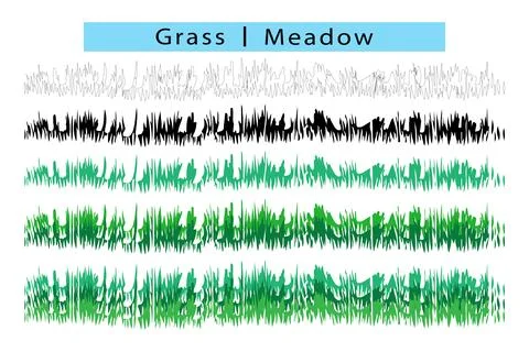 Green grass vector art in white background, Field vector, Meadow drawing Stock Illustration