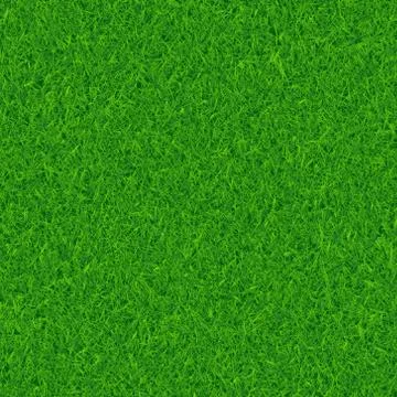 Green grass vector background Stock Illustration